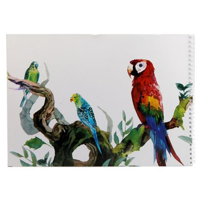صورة كراسة رسم اكسترا لاين سلك 32 ورقة مقاس 25 * 35 سم