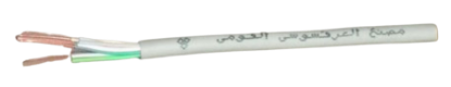 صورة كابل الهاتف والشبكة(Cat6)