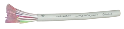 صورة كابل الهاتف والشبكة(Cat6)