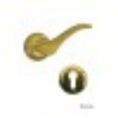 صورة لودى