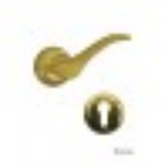 صورة لودى