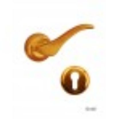 صورة لودى